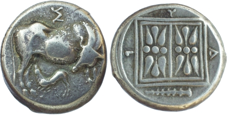 Dyrstater 3